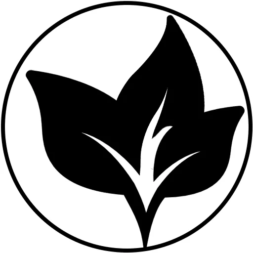 Icon 1